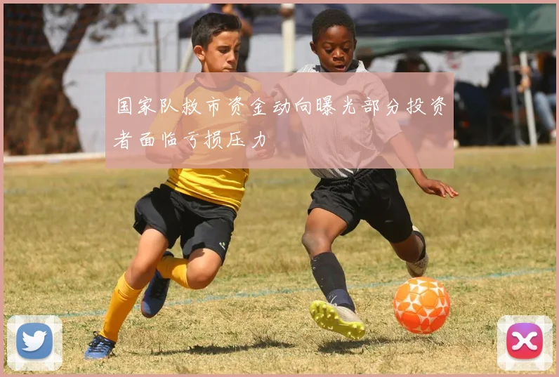 国家队救市资金动向曝光部分投资者面临亏损压力