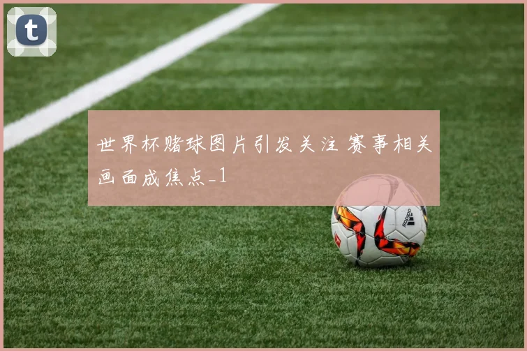世界杯赌球图片引发关注 赛事相关画面成焦点_1