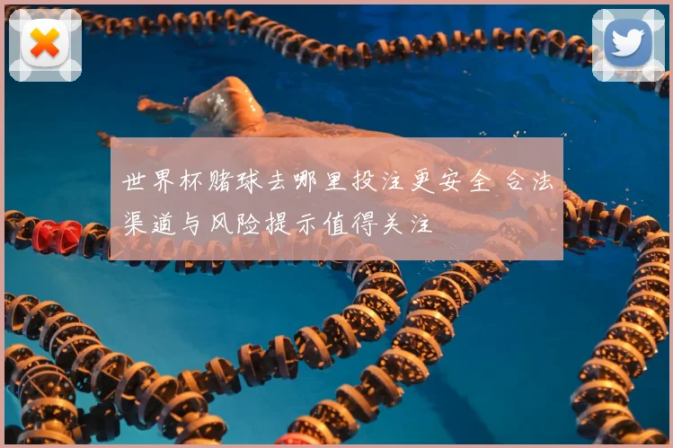 世界杯赌球去哪里投注更安全 合法渠道与风险提示值得关注