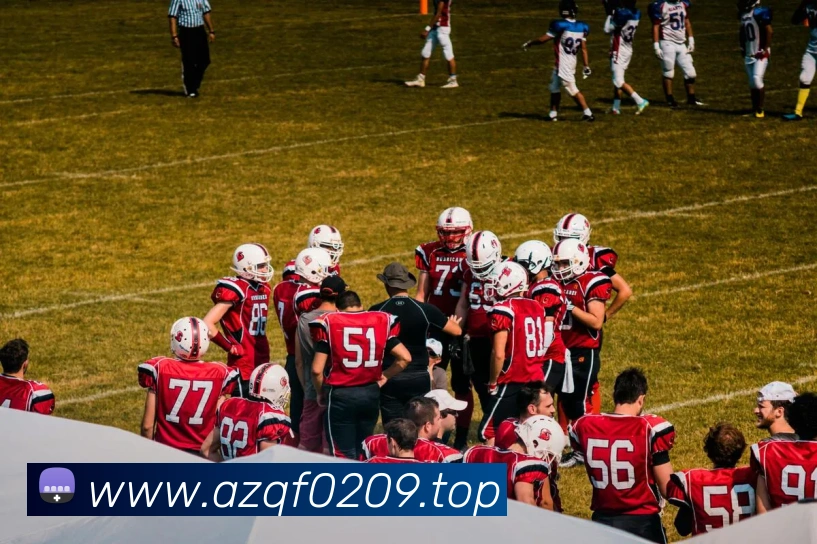 App Interface Preview